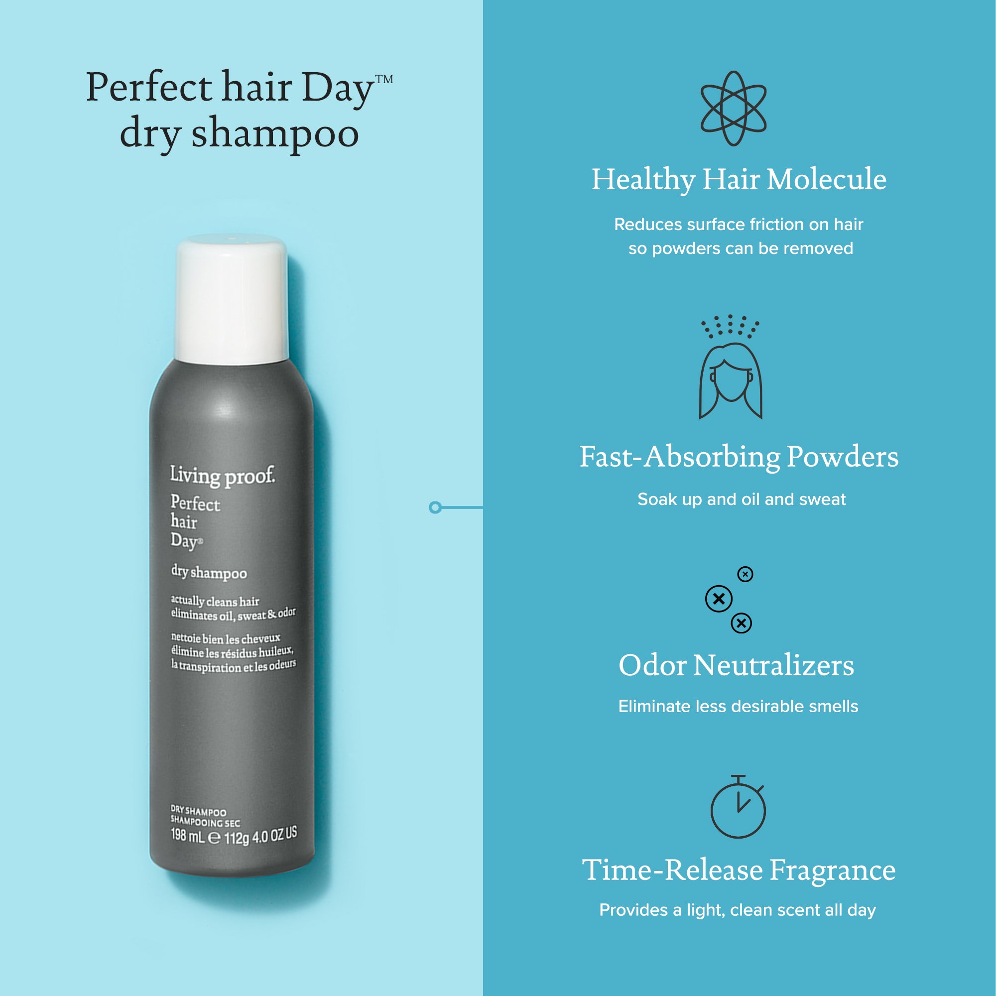 Perfect hair Day™ Dry Shampoo