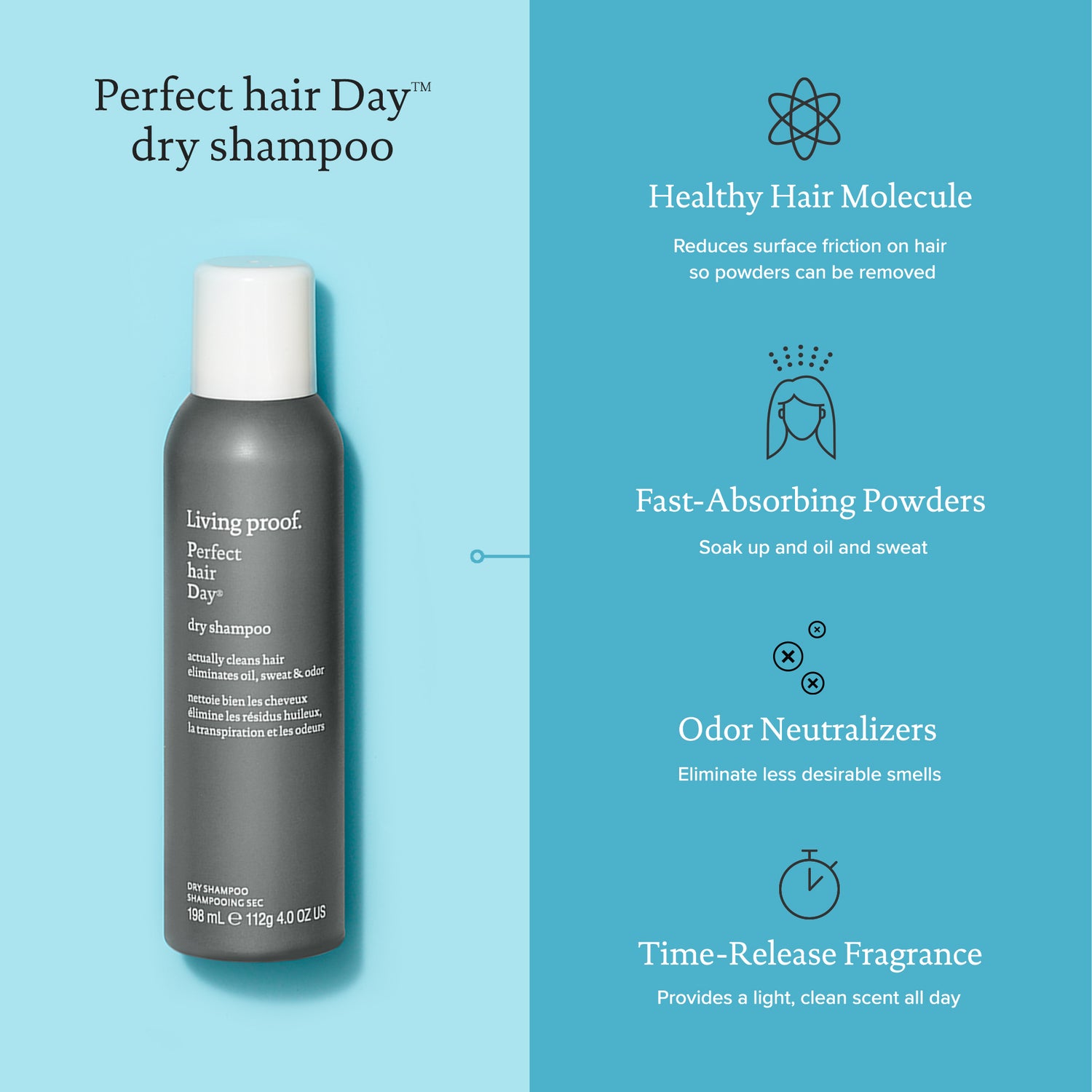 Perfect hair Day™ Dry Shampoo Jumbo